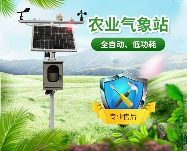 山東地區(qū)無公害葡萄種植需要什么條件？