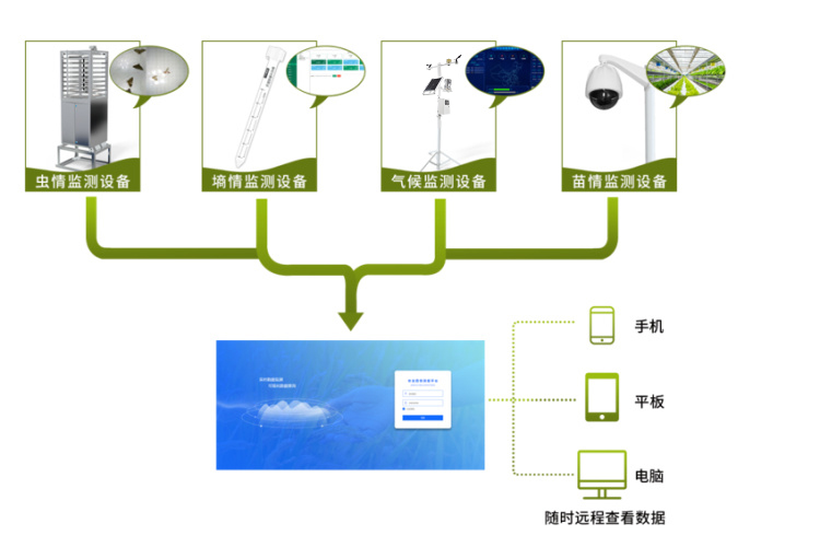 農(nóng)業(yè)四情監(jiān)測，智能化、自動化